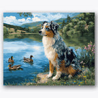 Paint by numbers design of Australian shepherd, ducks, Australian shepherd by the lake, ducks swimming nearby