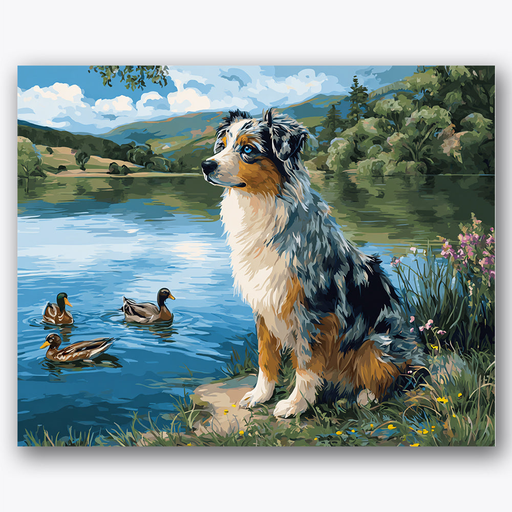Paint by numbers design of Australian shepherd, ducks, Australian shepherd by the lake, ducks swimming nearby
