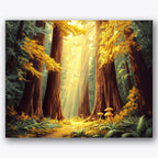 Paint by numbers design of redwood trees, sunlight, sunlit canopy, tall redwood trunks, A path through towering redwoods