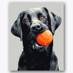 Paint by numbers design of black Labrador, orange ball, black Labrador, orange ball