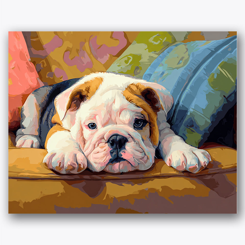 Paint by numbers design of bulldog, colorful couch, resting bulldog posture, vibrant sofa backdrop