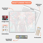 Colorful Elephant Paint by Numbers Kit – includes numbered canvas, paint pots, brushes, and instructions