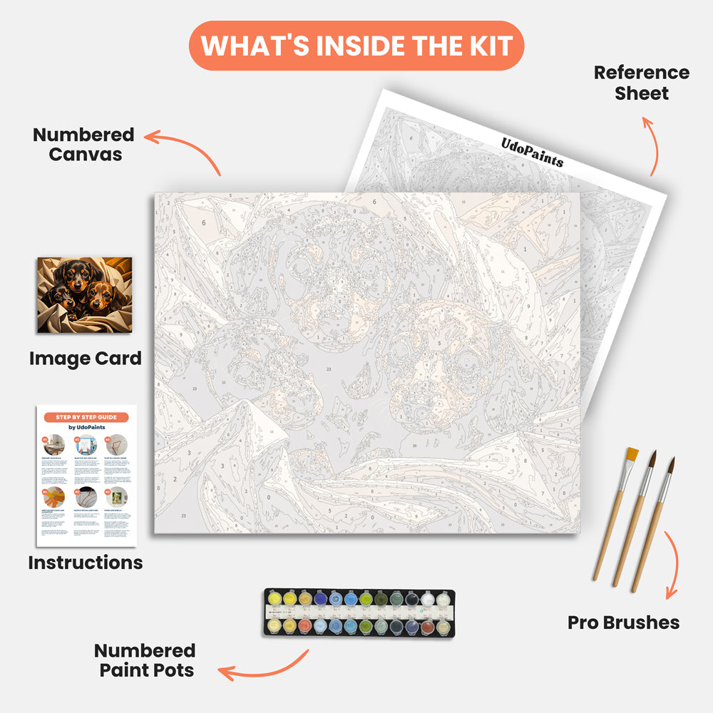 Cozy Dachshunds Paint by Numbers Kit – includes numbered canvas, paint pots, brushes, and instructions