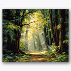 Paint by numbers design of forest, sunlight, dappled sunlight, tall forest trees