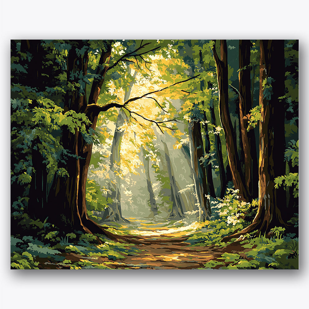 Paint by numbers design of forest, sunlight, dappled sunlight, tall forest trees