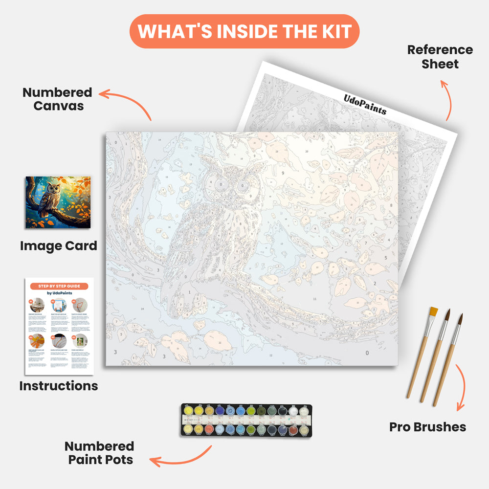 Enchanted Owl Paint by Numbers Kit – includes numbered canvas, paint pots, brushes, and instructions