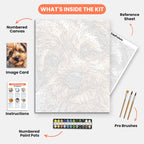 Fluffy Puppy Paint by Numbers Kit – includes numbered canvas, paint pots, brushes, and instructions