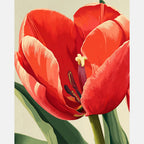 Glowing Tulip Paint by Numbers Kit design preview showing the full artwork layout before painting