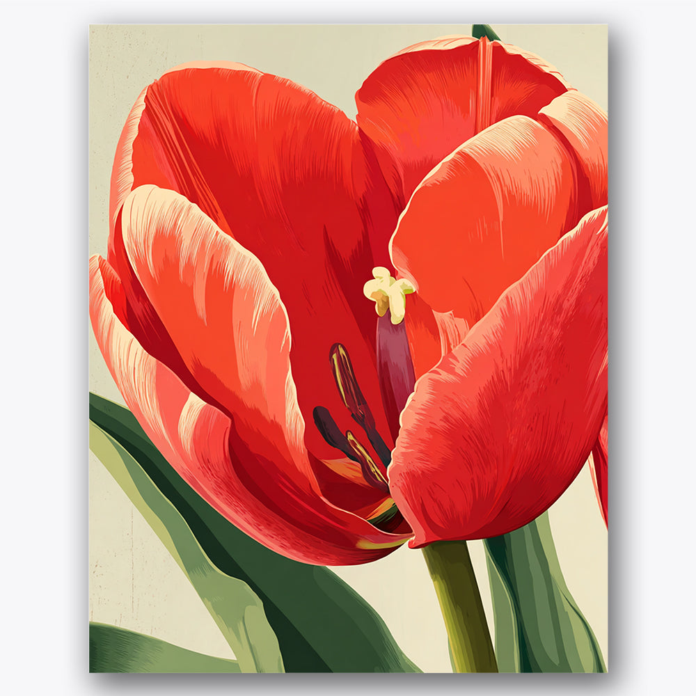 Paint by numbers design of tulip, petals, vibrant red petals, close-up perspective
