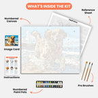 Golden Beach Adventure Paint by Numbers Kit – includes numbered canvas, paint pots, brushes, and instructions