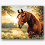 Paint by numbers design of horse, meadow, golden mane, sunlit meadow