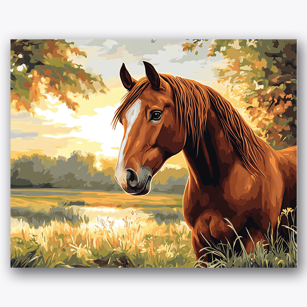 Paint by numbers design of horse, meadow, golden mane, sunlit meadow