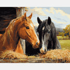 Hayfield Companions Paint by Numbers Kit design preview showing the full artwork layout before painting