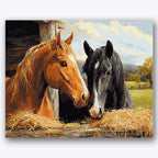 Paint by numbers design of horses, hay, chestnut and black horses, weathered wooden fence