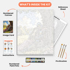 Knight's Serenity Paint by Numbers Kit – includes numbered canvas, paint pots, brushes, and instructions