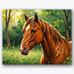 Majestic Stallion Paint by Numbers Kit UdoPaints