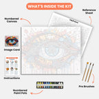 Vibrant Eye Paint by Numbers Kit – includes numbered canvas, paint pots, brushes, and instructions