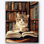 Paint by numbers design of kitten, books, curious kitten face, open book pages