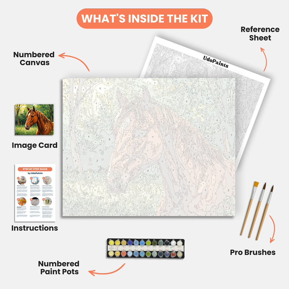 Majestic Stallion Paint by Numbers Kit – includes numbered canvas, paint pots, brushes, and instructions