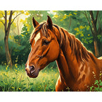 Majestic Stallion Paint by Numbers Kit design preview showing the full artwork layout before painting