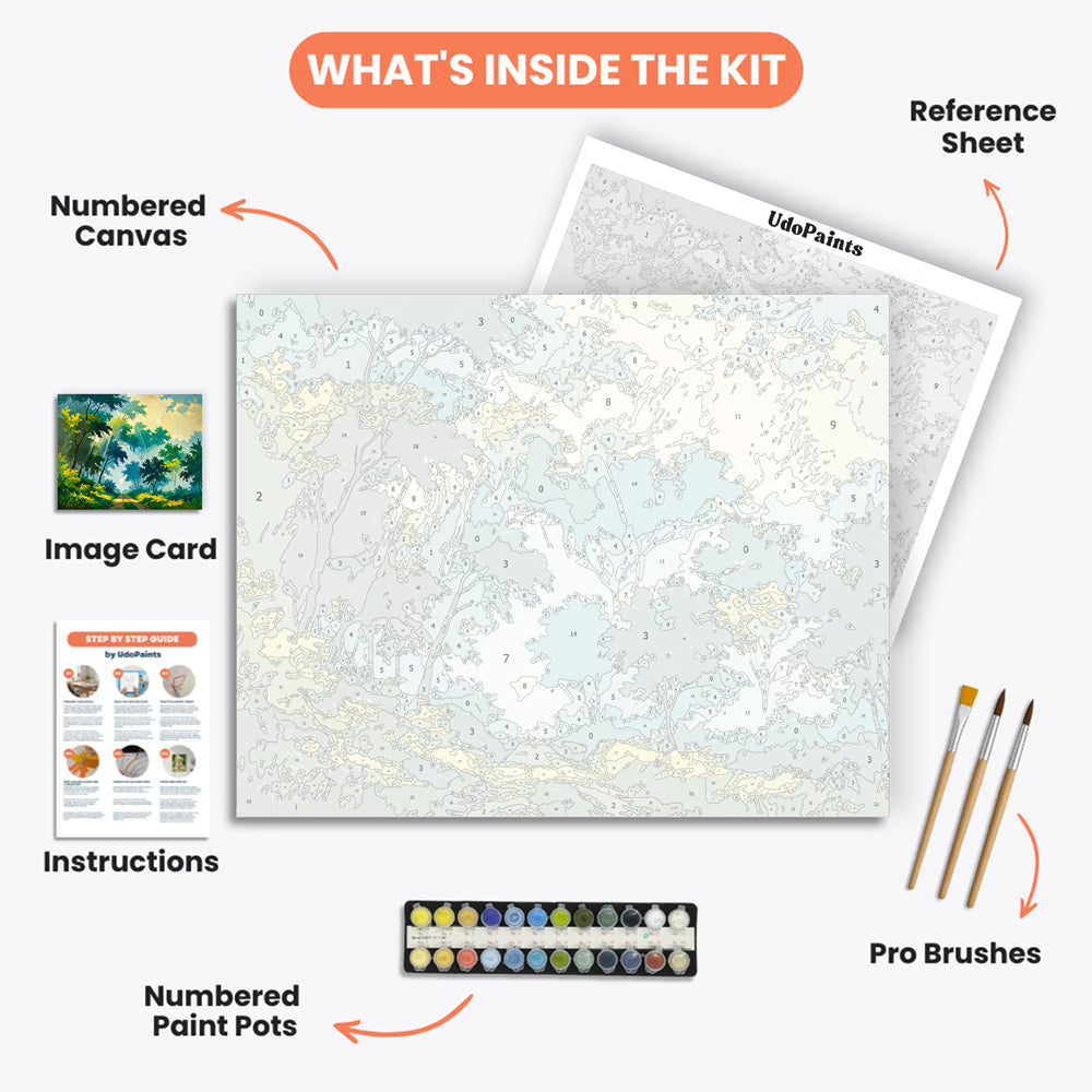 Misty Forest Path Paint by Numbers Kit – includes numbered canvas, paint pots, brushes, and instructions