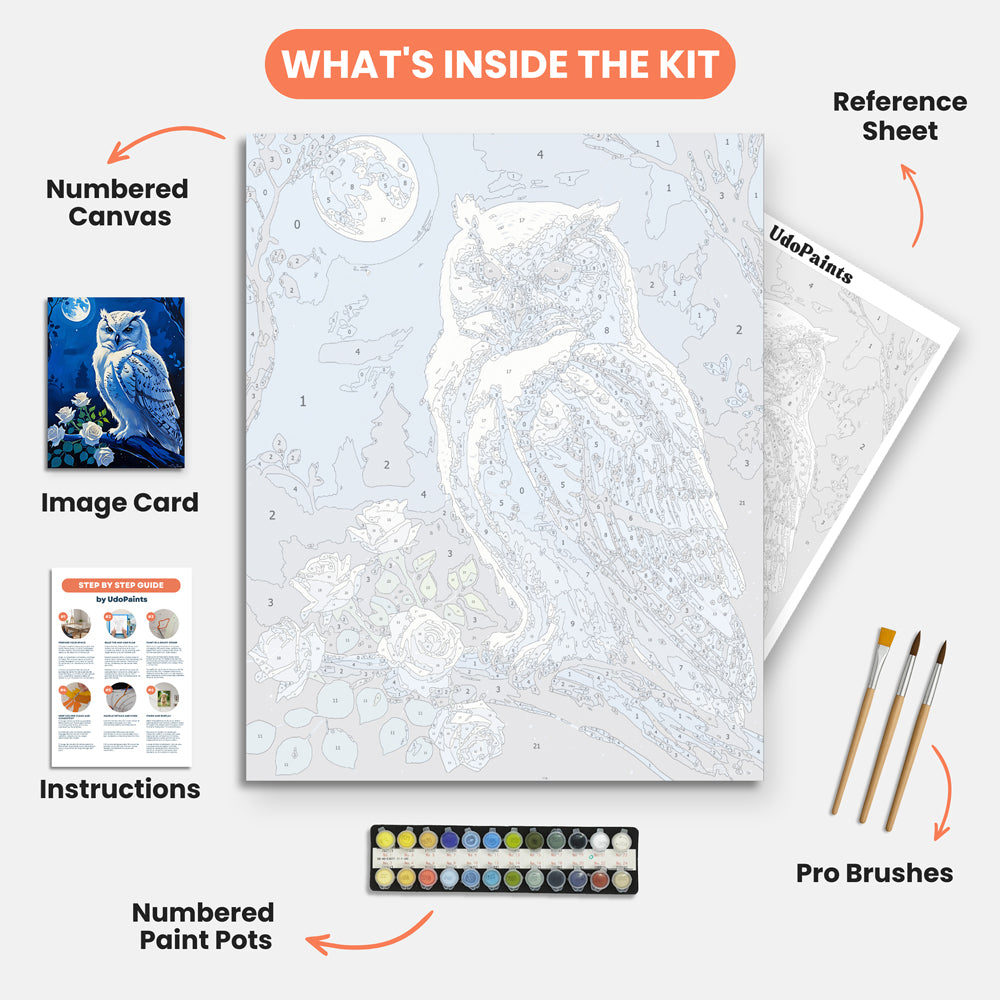 Mystical Snowy Owl Paint by Numbers Kit – includes numbered canvas, paint pots, brushes, and instructions