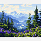 Olympic National Park Paint by Numbers Kit design preview showing the full artwork layout before painting