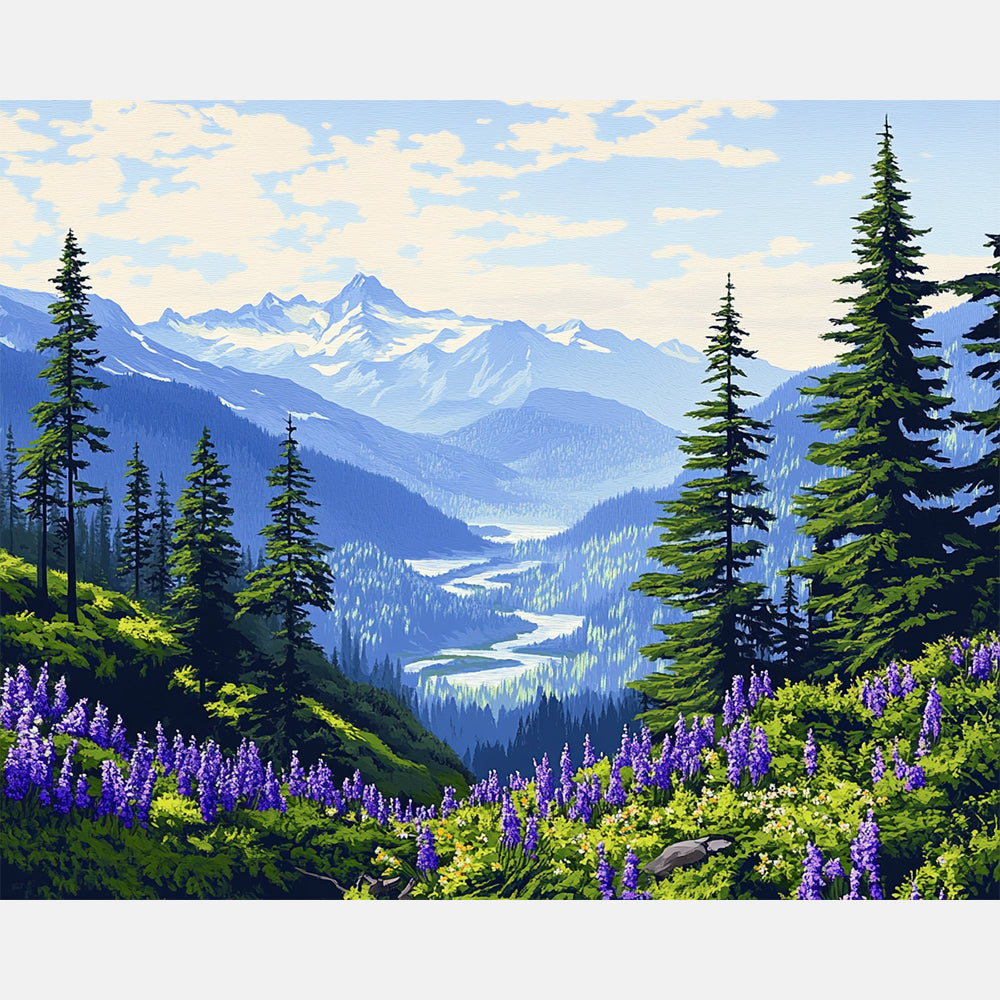 Olympic National Park Paint by Numbers Kit design preview showing the full artwork layout before painting