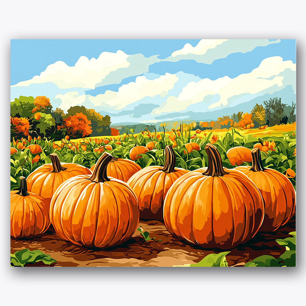 Paint by numbers design of pumpkins, autumn landscape, bright orange pumpkins, blue sky with clouds