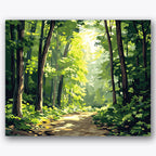 Paint by numbers design of forest path, sunlight, dappled sunlight on path, dense leafy canopy