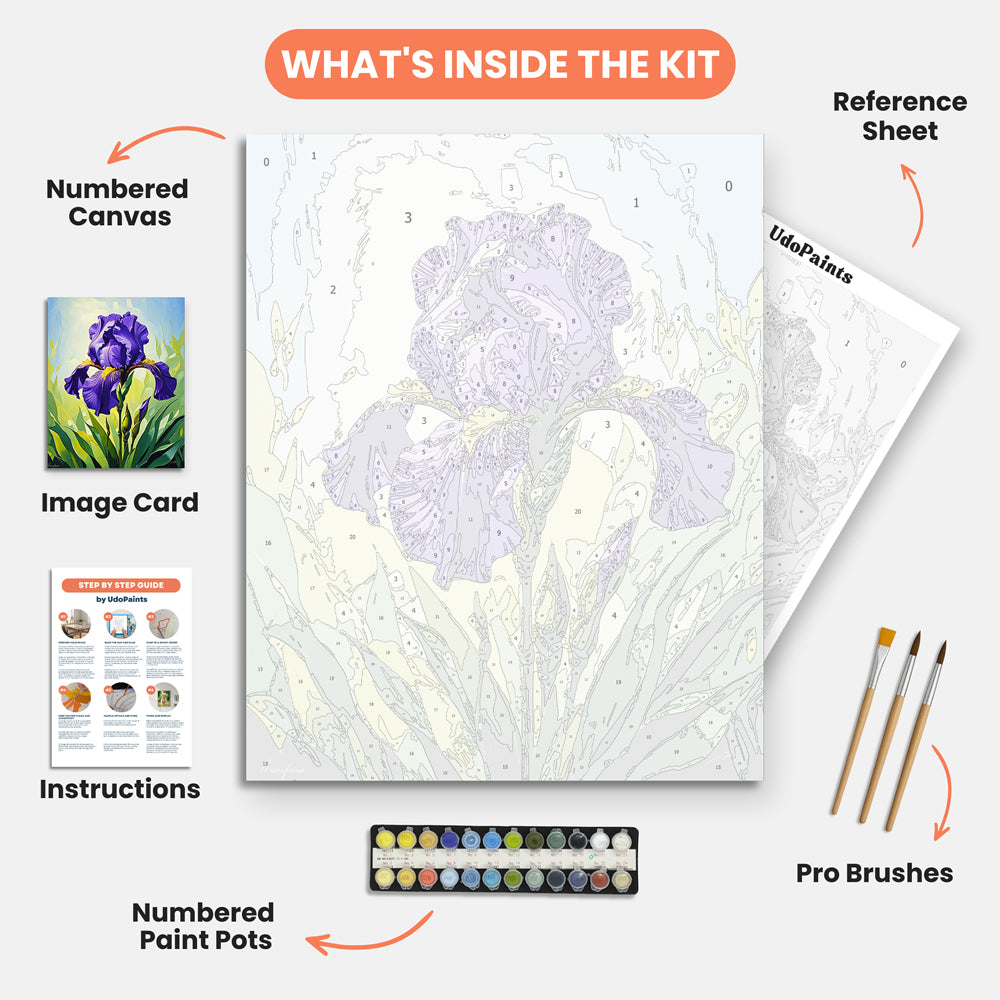 Sunlit Iris Paint by Numbers Kit – includes numbered canvas, paint pots, brushes, and instructions