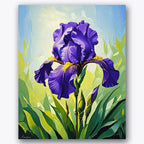 Sunlit Iris Paint by Numbers Kit UdoPaints