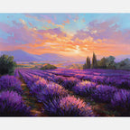 Sunset Over Lavender Paint by Numbers Kit design preview showing the full artwork layout before painting