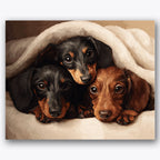 Paint by numbers design of three puppies, blanket, black and brown fur, soft white blanket