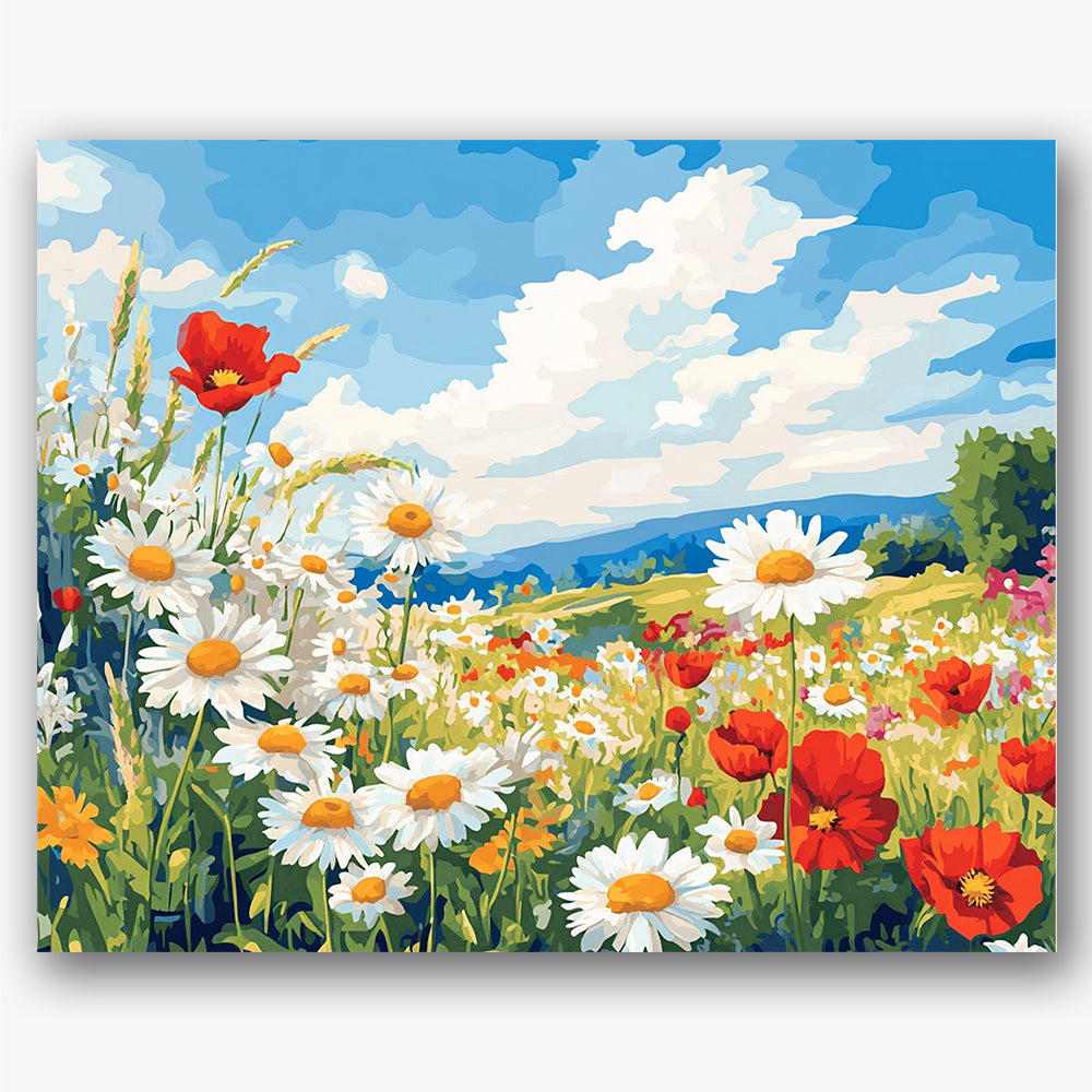 Paint by numbers design of wildflowers, blue sky, red poppies and white daisies, vibrant blue sky