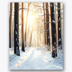 Paint by numbers design of forest, sunlight, tall snow-dusted trees, sunlight through branches