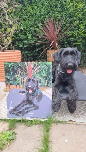 Customer review image